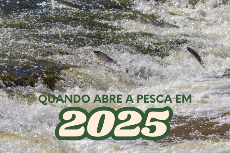Quando Abre a Pesca em 2025 Após a Piracema? - Notícias BR